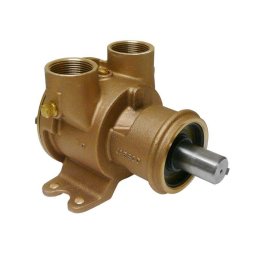 Pump brz ped 200 1 1/4" NPT