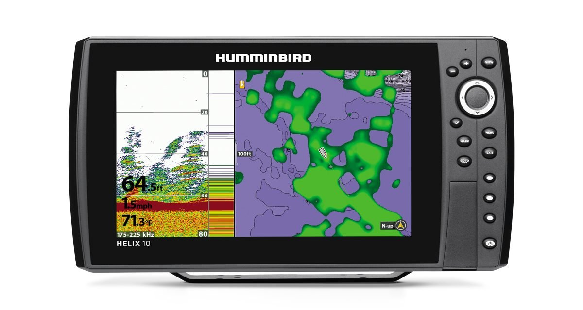 Bottenvegetation i delad vy