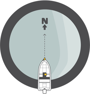 Advanced-autopilot-300x315