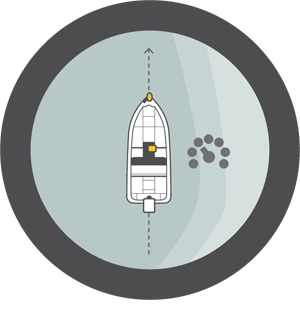 Cruise-Control-300x315