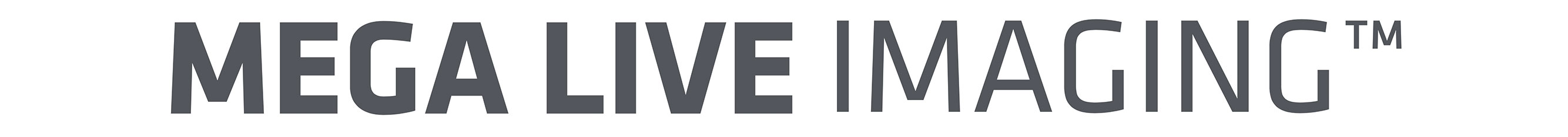 MEGA-LIVE-TITLE