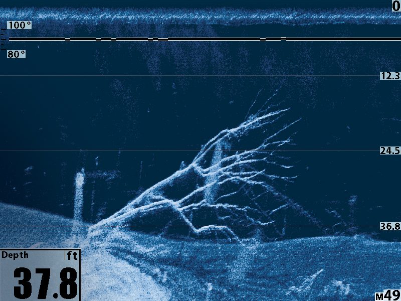 DownTimber_DI_S00064
