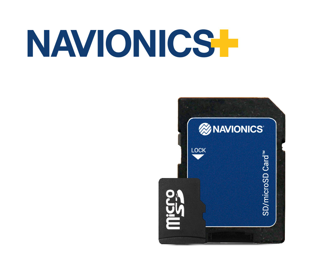 MSD-NAV_001.jpg
