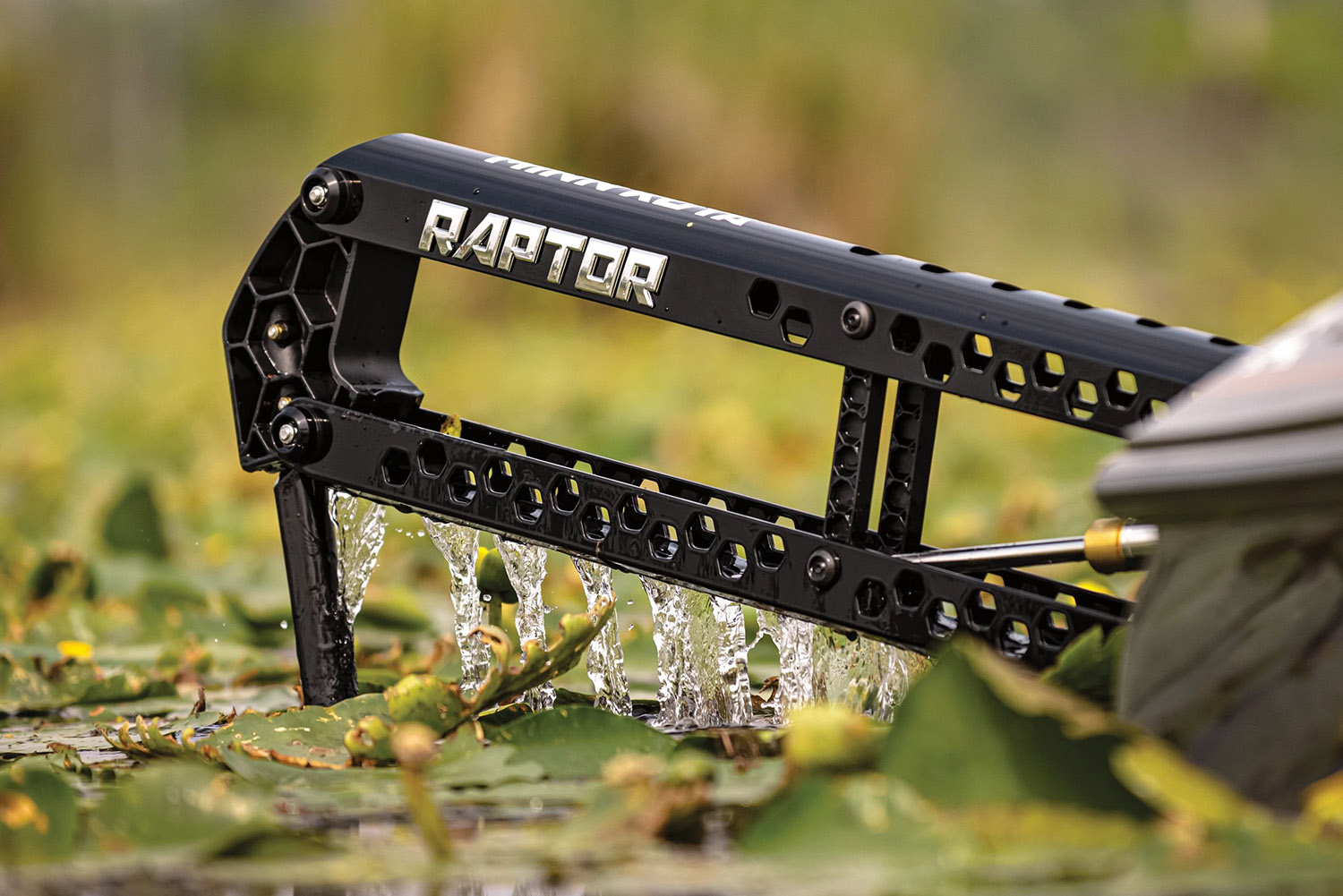Raptor