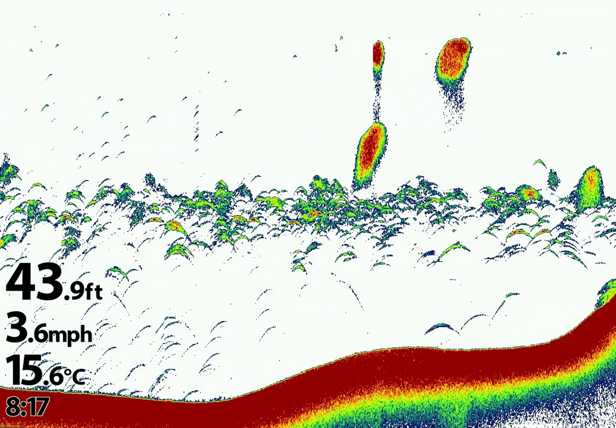 p015-dual-spectrum-d