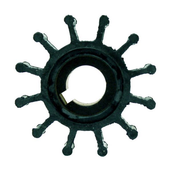4568-0001-P.jpg