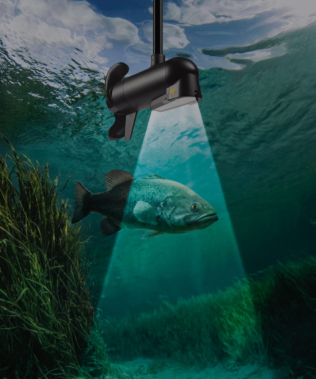 MDI-FISH